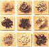 Ayurveda Therapies