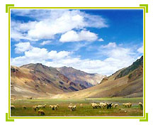 Ladakh Holiday Packages