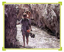 Trekking, Ladakh Travel Holidays
