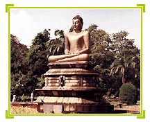 Sri Lanka Travels